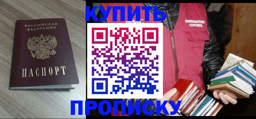 прописка 2025 в Михайловке
